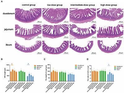 The impact of bacillus pumilus TS2 isolated from yaks on growth performance, gut microbial community, antioxidant activity, and cytokines related to immunity and inflammation in broilers